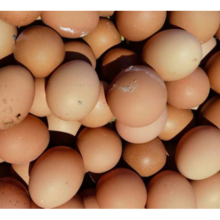 加強型如意反饋來了-上海邦森